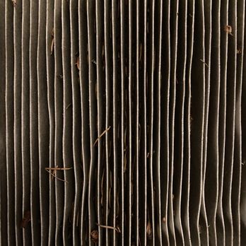 Bret's Auto Repair - Cabin air filter - Auto Repair Near Me - Lynnwood, Washington Bret's Auto Repair - Cabin air filter - Auto Repair Near Me - Lynnwood, Washington