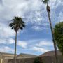 Photo of Roberto’s Landscaping