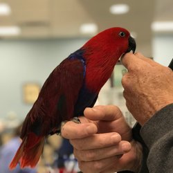 Bethany Animal Hospital - Everybirdy needs a check up!