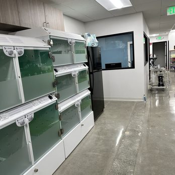 Lbc Vets - Veterinarians Near Me - Long Beach, California