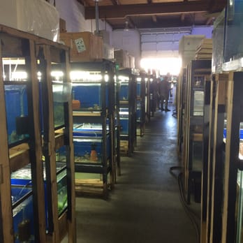 Fish Addicts - Pet Stores Near Me - Langley, British Columbia Fish Addicts - Pet Stores Near Me - Langley, British Columbia