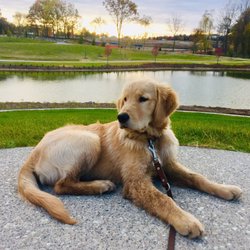 River Bend Park - On top of the hill overlooking the big pond