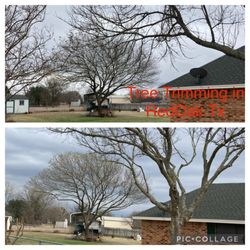 Tree Service Advisor