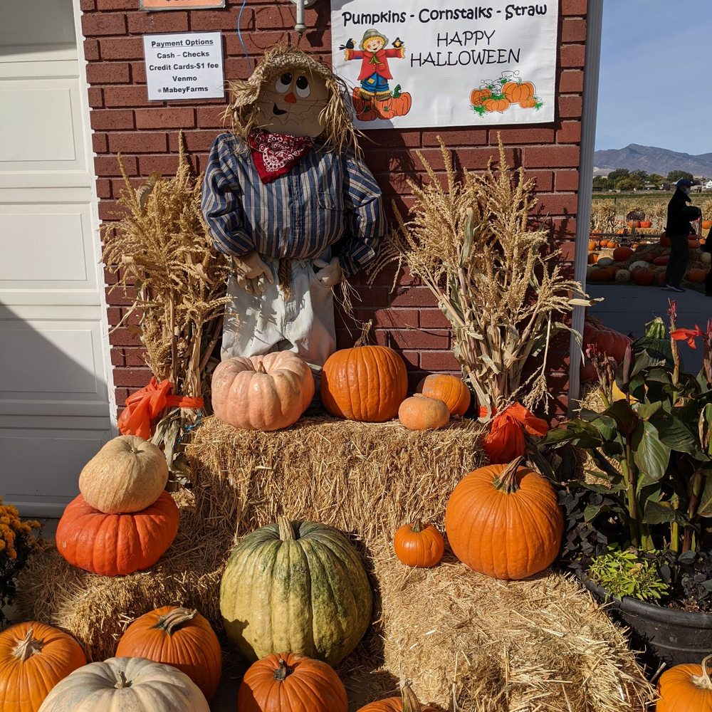 Mabey’s Pumpkin Patch - Pumpkins and hours - Pumpkin Patches Near Me - South Jordan, Utah Mabey’s Pumpkin Patch - Pumpkins and hours - Pumpkin Patches Near Me - South Jordan, Utah