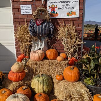 Mabey’s Pumpkin Patch - Pumpkins and hours - Pumpkin Patches Near Me - South Jordan, Utah