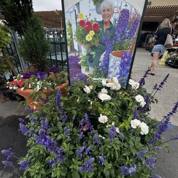 Armstrong Garden Centers - Nurseries & Gardening Near Me - Los Angeles, California Armstrong Garden Centers - Nurseries & Gardening Near Me - Los Angeles, California