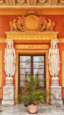 Orto Botanico di Palermo by null