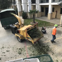 Sosa Tree Services