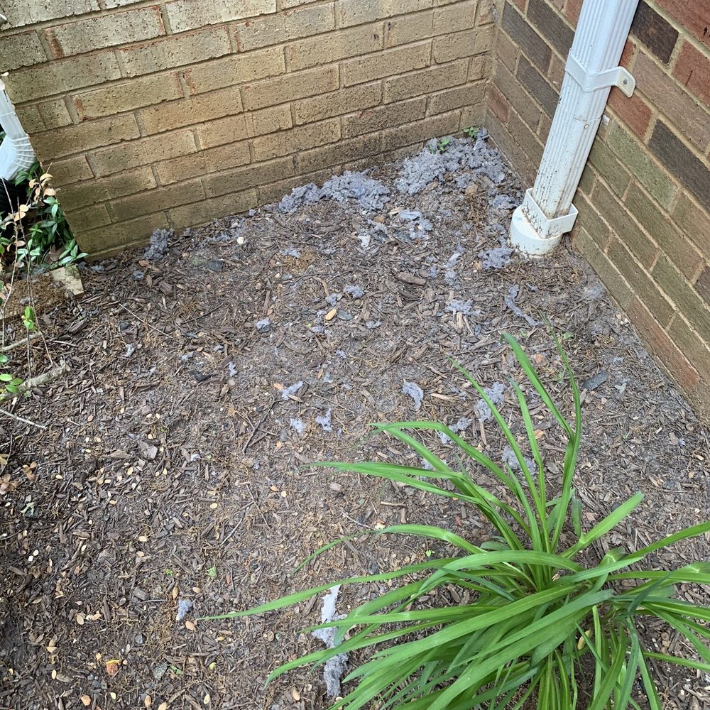 Atlantic Duct Cleaning - Like in the front yard. - Air Duct Cleaning Near Me - Fairfax, Virginia
