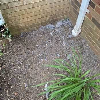 Atlantic Duct Cleaning - Like in the front yard. - Air Duct Cleaning Near Me - Fairfax, Virginia