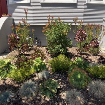 The Constant Gardener - Small installation in Temescal - Gardeners Near Me The Constant Gardener - Small installation in Temescal - Gardeners Near Me