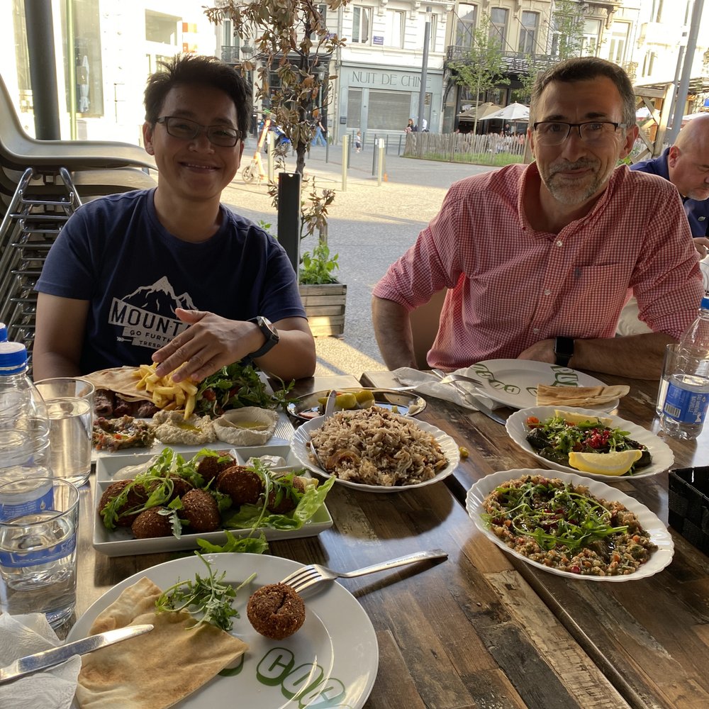Zain Shaam - Falafel, mujadra, babaganouj, pita, stuffed grape leaves, cauliflower not in shot. All delish. Meaty plate with fries (weird) also shown. - Syrian Near Me - Brussel, BRU