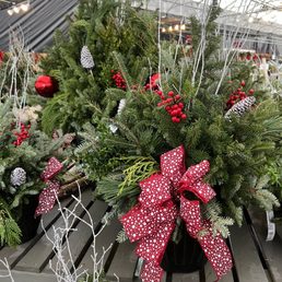 Fresh garland area of Bordines!