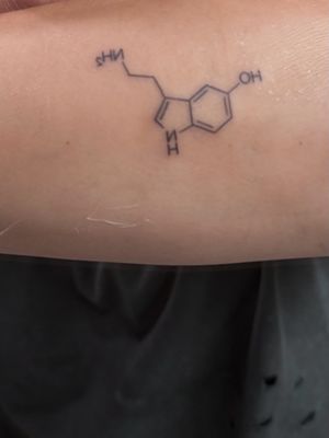 The Apollo Tattoo & Piercing Studio by null