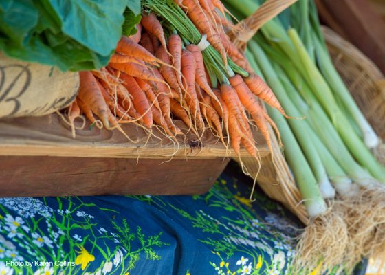 Larimer County Farmers' Market by null