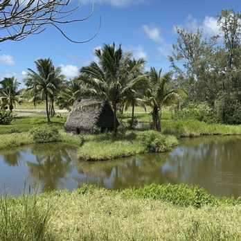 Kualoa Ranch - Tours Near Me - Kaneohe, Hawaii