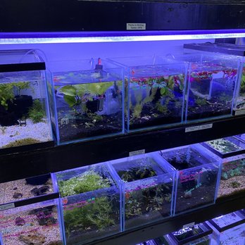 Fish Paradise - Pet Services Near Me - Fort Worth, Texas