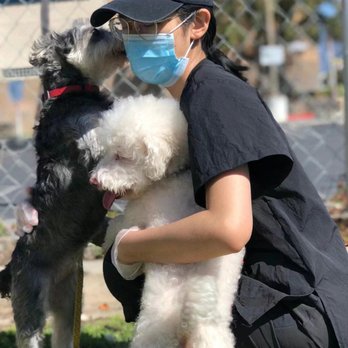 Happy Pet Paradise - Pet Sitting Near Me - Temple City, California Happy Pet Paradise - Pet Sitting Near Me - Temple City, California