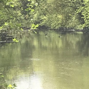 LaBagh Woods - Parks Near Me - Chicago, Illinois