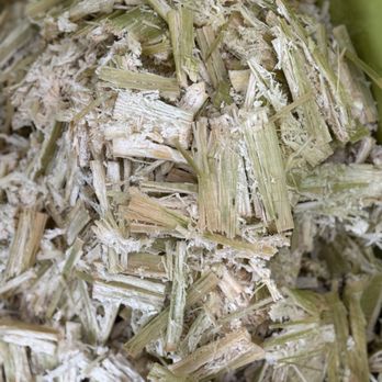 Mia and More - Sugar cane - Juice Bars & Smoothies Near Me - Seattle, Washington