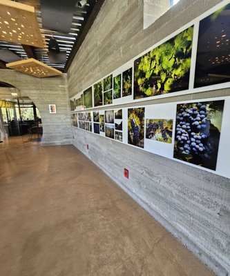 L'Aventure Winery by null