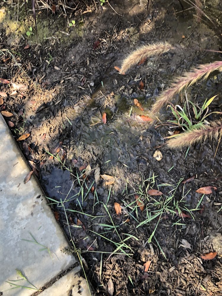 SEABRIDGE HOME OWNERS ASSOC Updated October 2024 1420 Seabridge Ln