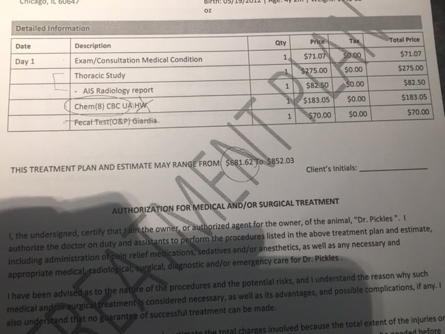 vca animal hospital prices