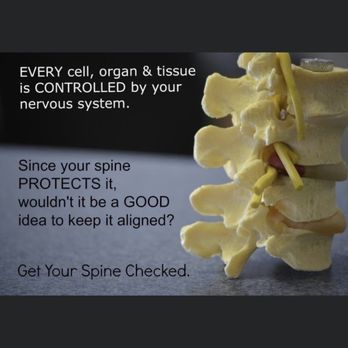 Paul Roses, DC - Chiropractors Near Me - Bayonne, New Jersey Paul Roses, DC - Chiropractors Near Me - Bayonne, New Jersey
