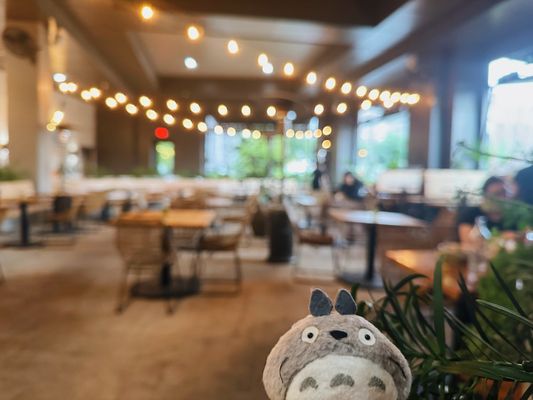 Oaxaca ATL by null Oaxaca ATL by null