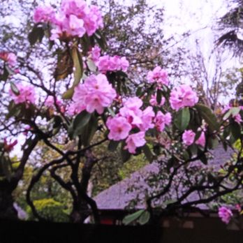 馬場花木園 Public Services Government 馬場2丁目 横浜市 鶴見区 神奈川県 Japan Phone Number Yelp 馬場花木園 Public Services Government 馬場2丁目 横浜市 鶴見区 神奈川県 Japan Phone Number Yelp