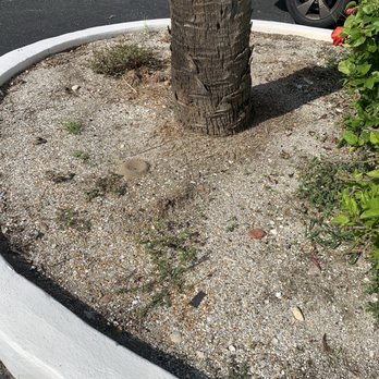 Lawns by Scott - Landscaping Near Me - Cocoa Beach, Florida