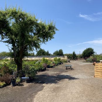 Greenland Nursery - Nurseries & Gardening Near Me - Hubbard, Oregon Greenland Nursery - Nurseries & Gardening Near Me - Hubbard, Oregon
