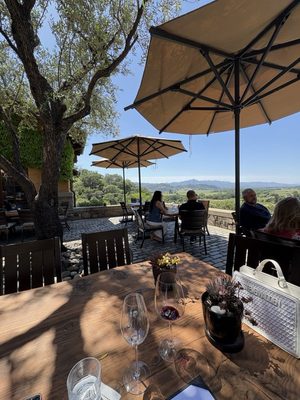 Silverado Vineyards by null