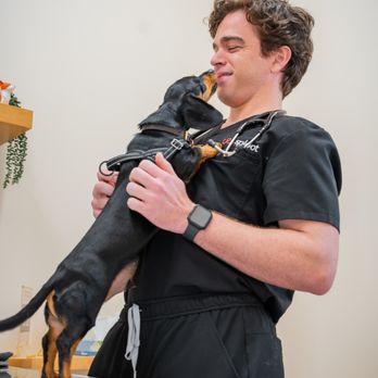 Sploot Veterinary Care - Central Park - Veterinarians Near Me - Aurora, Colorado