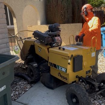 Farias Landscape - Removing stumps - Landscaping Near Me Farias Landscape - Removing stumps - Landscaping Near Me