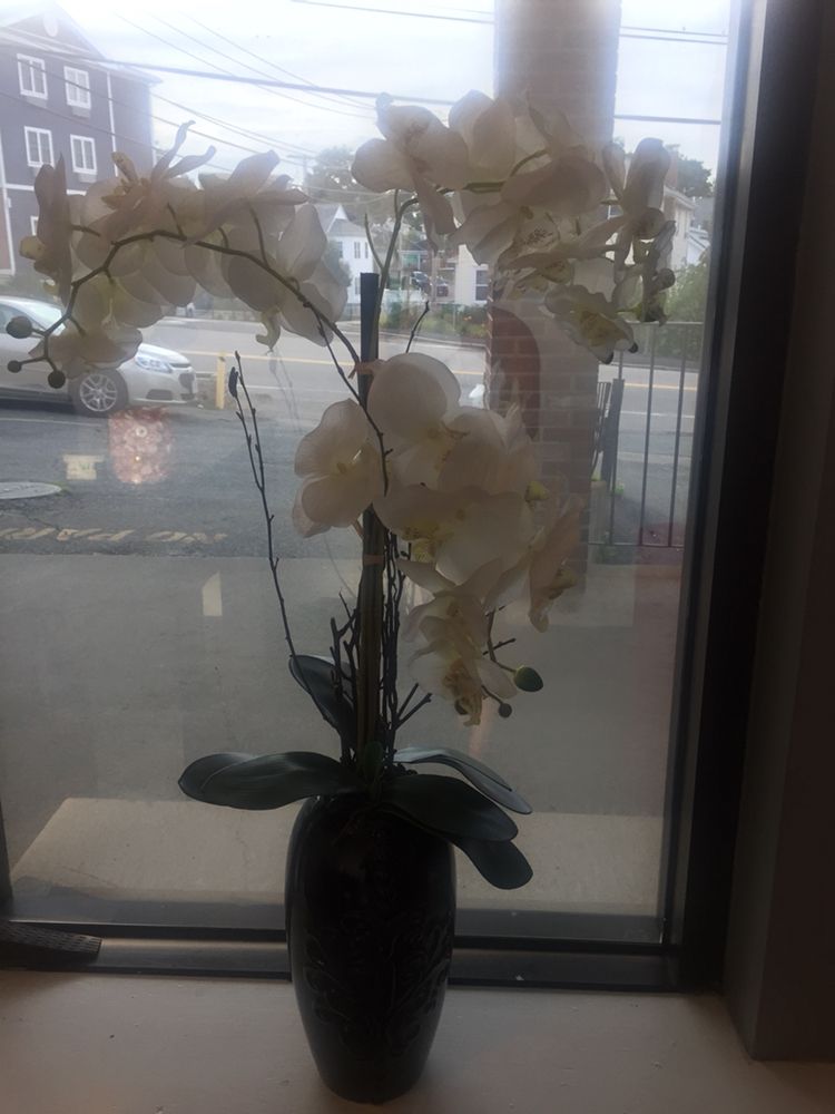 THAI REFLEXOLOGY 220 W Squantum St, Quincy, Massachusetts Massage