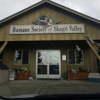 HUMANE SOCIETY OF SKAGIT VALLEY - Updated March 2026 - 107 Photos & 13