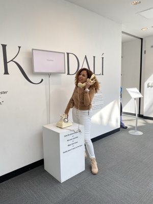 The Dalí Museum by null