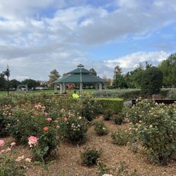 Celebration park