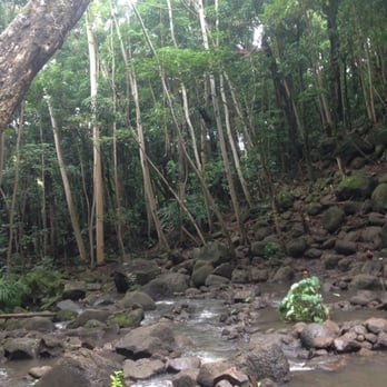 Ali'i Kayaks - Bottom of the falls - Tours Near Me - Kapaa, Hawaii Ali'i Kayaks - Bottom of the falls - Tours Near Me - Kapaa, Hawaii