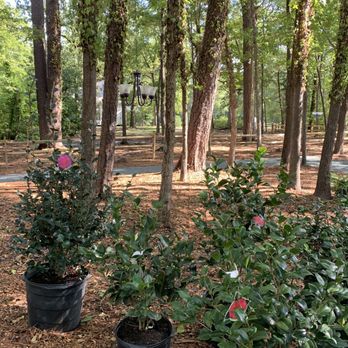 For Garden's Sake - Nurseries & Gardening Near Me - Durham, North Carolina For Garden's Sake - Nurseries & Gardening Near Me - Durham, North Carolina