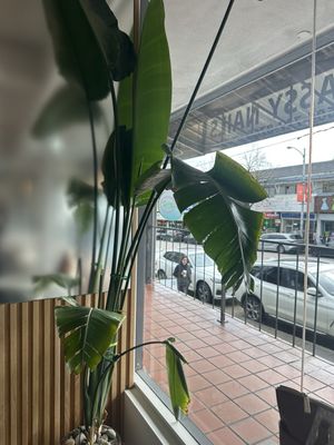 Lumine Coffee by null