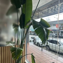 Lumine Coffee