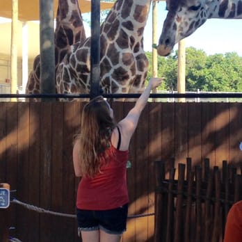 Naples Zoo - Zoos Near Me - Naples, Florida