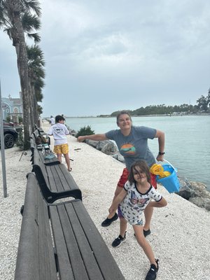 Venice Beach by null