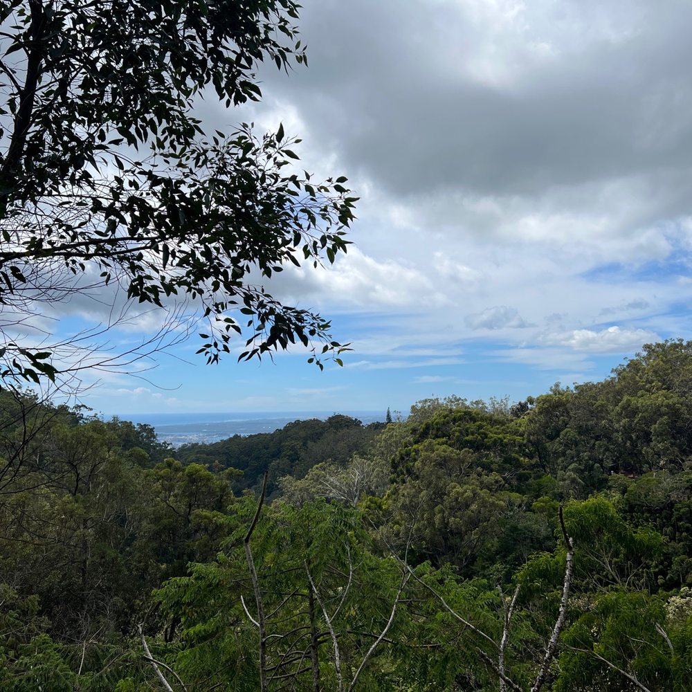 Aiea Loop Trail - Hiking Near Me - Aiea, Hawaii