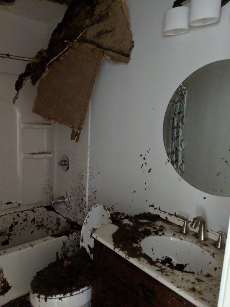 Slide of Dave's Roofing