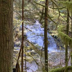 Homesite Creek Campground - Waterfall