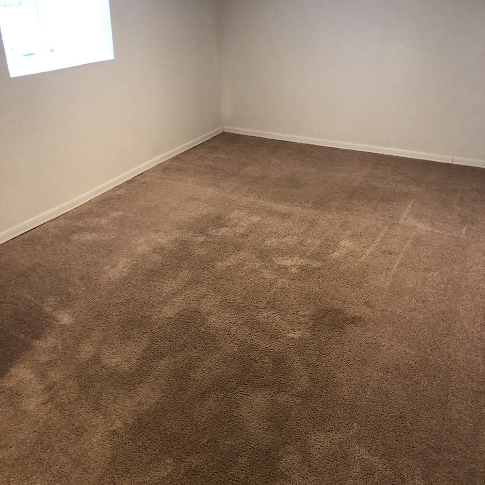 Husky Carpet Cleaning - After cleaning photo - Carpet Cleaning Near Me - Clackamas, Oregon