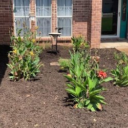 All About The Yard - Garden bed clean out and refresh